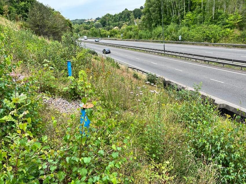 Project - Newport slope monitoring